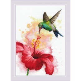 Riolis - Hummingbird