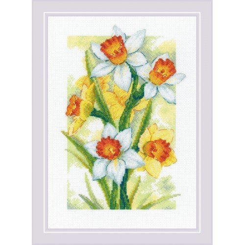 Riolis - Resplandor primaveral. Narcisos