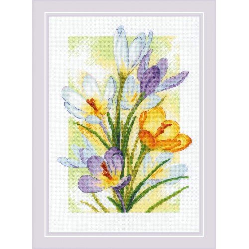 Riolis - Spring Glow. Crocuses
