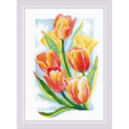 Riolis - Resplandor primaveral. Tulipanes