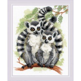 Riolis - Lemurs