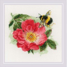 Riolis - Furry Bumblebee