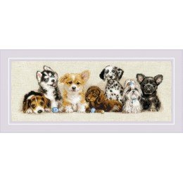 Riolis - Puppies