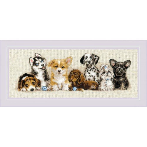 Riolis - Puppies