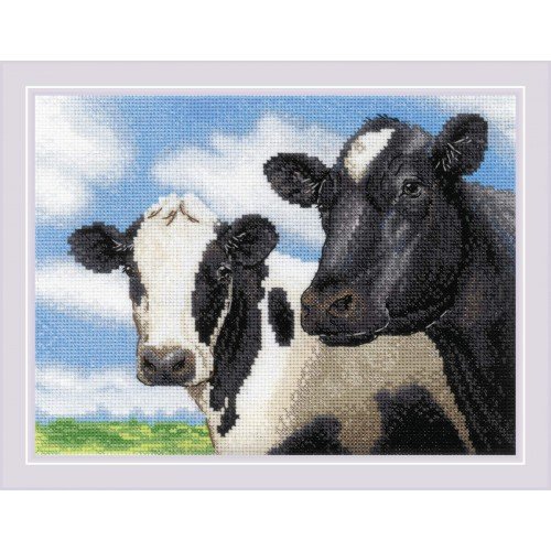 Riolis - Vacas