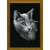 Riolis - Russian Blue