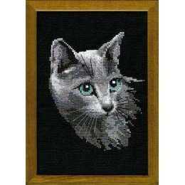 Riolis - Russian Blue