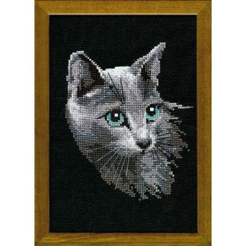 Riolis - Russian Blue