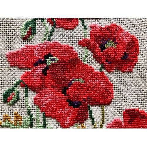Riolis - Wild Poppies