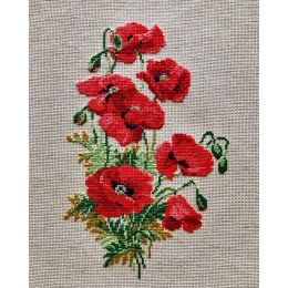 Riolis - Wild Poppies