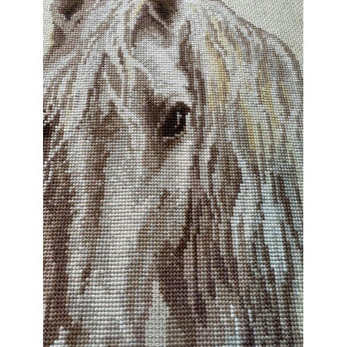 Riolis - Luna