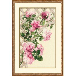 Riolis - Pink Roses on Lattice