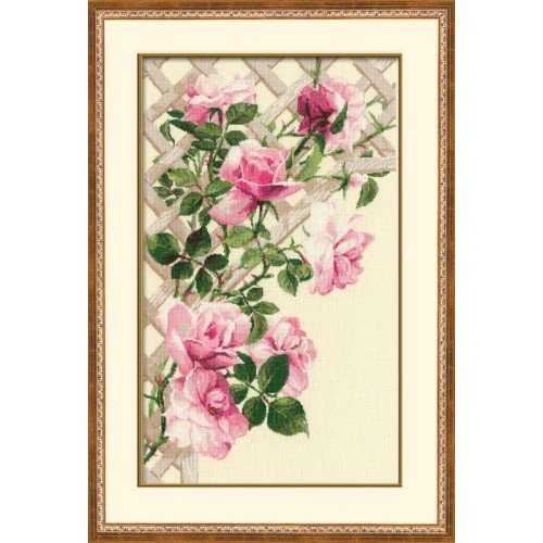 Riolis - Pink Roses on Lattice