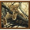 Riolis - Leopard