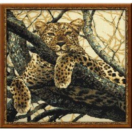 Riolis - Leopard