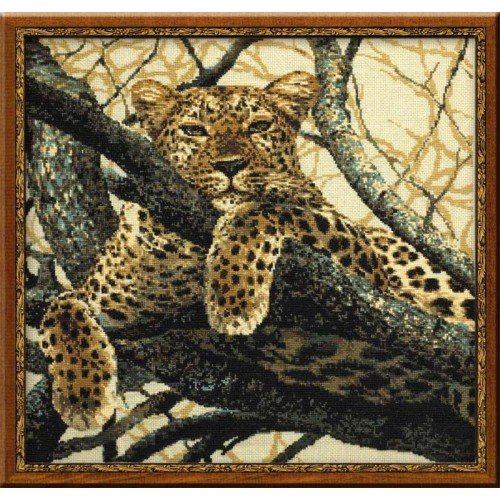 Riolis - Leopard