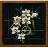 Riolis - White Orchid