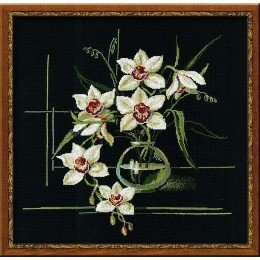 Riolis - White Orchid