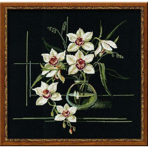 Riolis - White Orchid