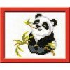 Riolis - Panda