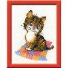 Riolis - Kitten