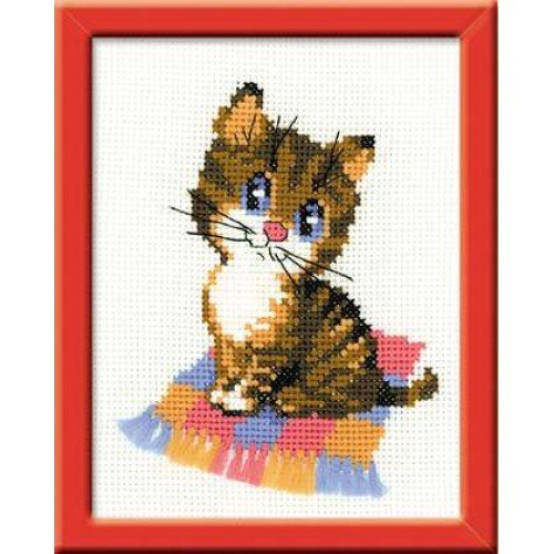 Riolis - Kitten