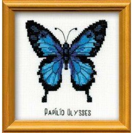 Riolis - Ulises Mariposa