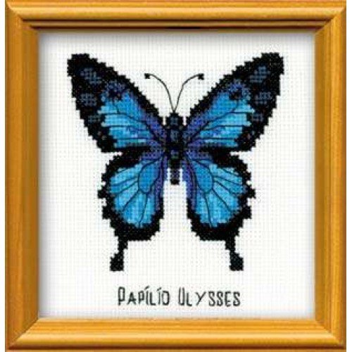 Riolis - Ulises Mariposa