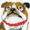 Riolis - English Bulldog