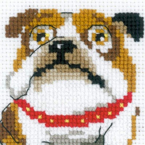Riolis - English Bulldog