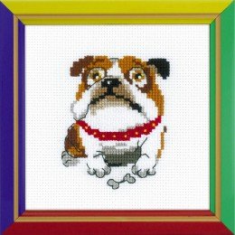 Riolis - English Bulldog
