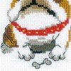 Riolis - English Bulldog