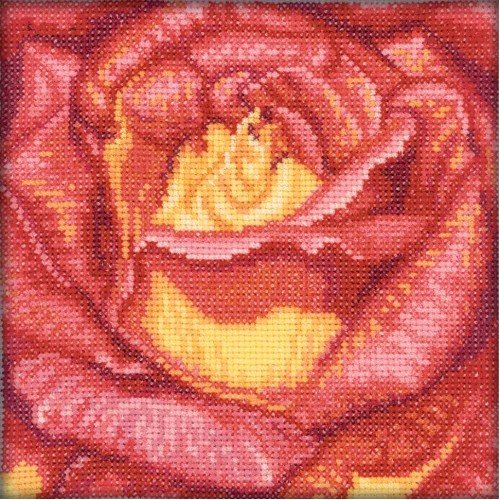 RTO - Rosa Roja