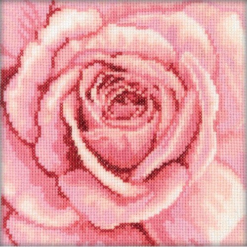 RTO - Rosa rosa