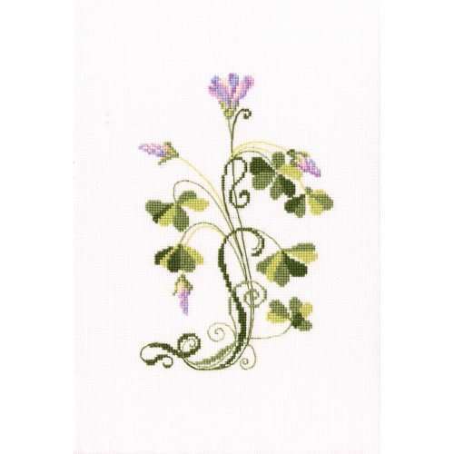 RTO - Oxalis