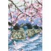 RTO - Puente Kintai sobre el río Nishiki