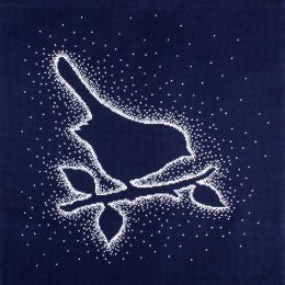 RTO - Plata de nieve. Pájaro