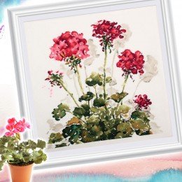 RTO - Red crane's-bill