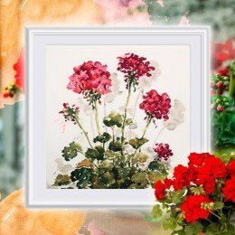 RTO - Red crane's-bill