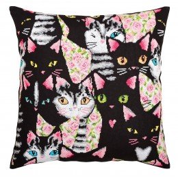 RTO - Find a loving cat