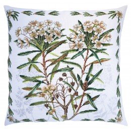 RTO - Wild rosemary