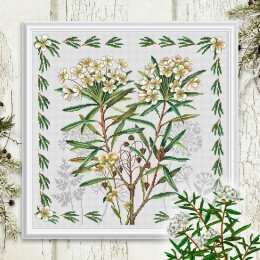 RTO - Romero silvestre