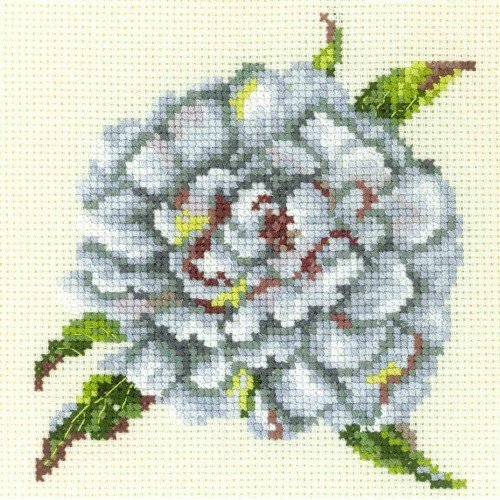 RTO - Peonía blanca