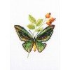 RTO - Zarza y mariposa