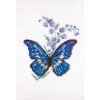 RTO - Polemonium y mariposa