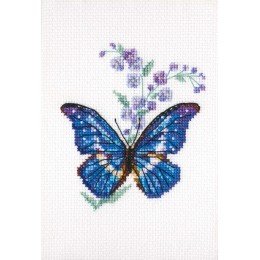 RTO - Polemonium and butterfly