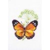 RTO - Alcaravea y mariposa