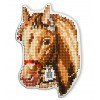 RTO - Caballo