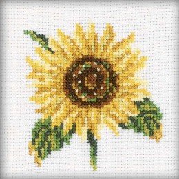 RTO - Sunflower