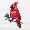 RTO - Pájaro Kardinal